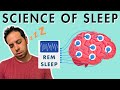 Sleep stages sleep cycle and the biology of sleep