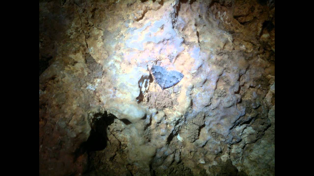 Jaskinie Jury: Jaskinia Żabia