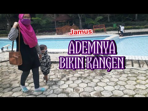 JALAN JALAN KE KEBUN TEH JAMUS - YouTube