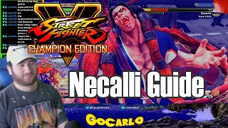 Sf5 Necalli Basics How To Combo Easy Guide Explained Tutorial Street Fighter 5