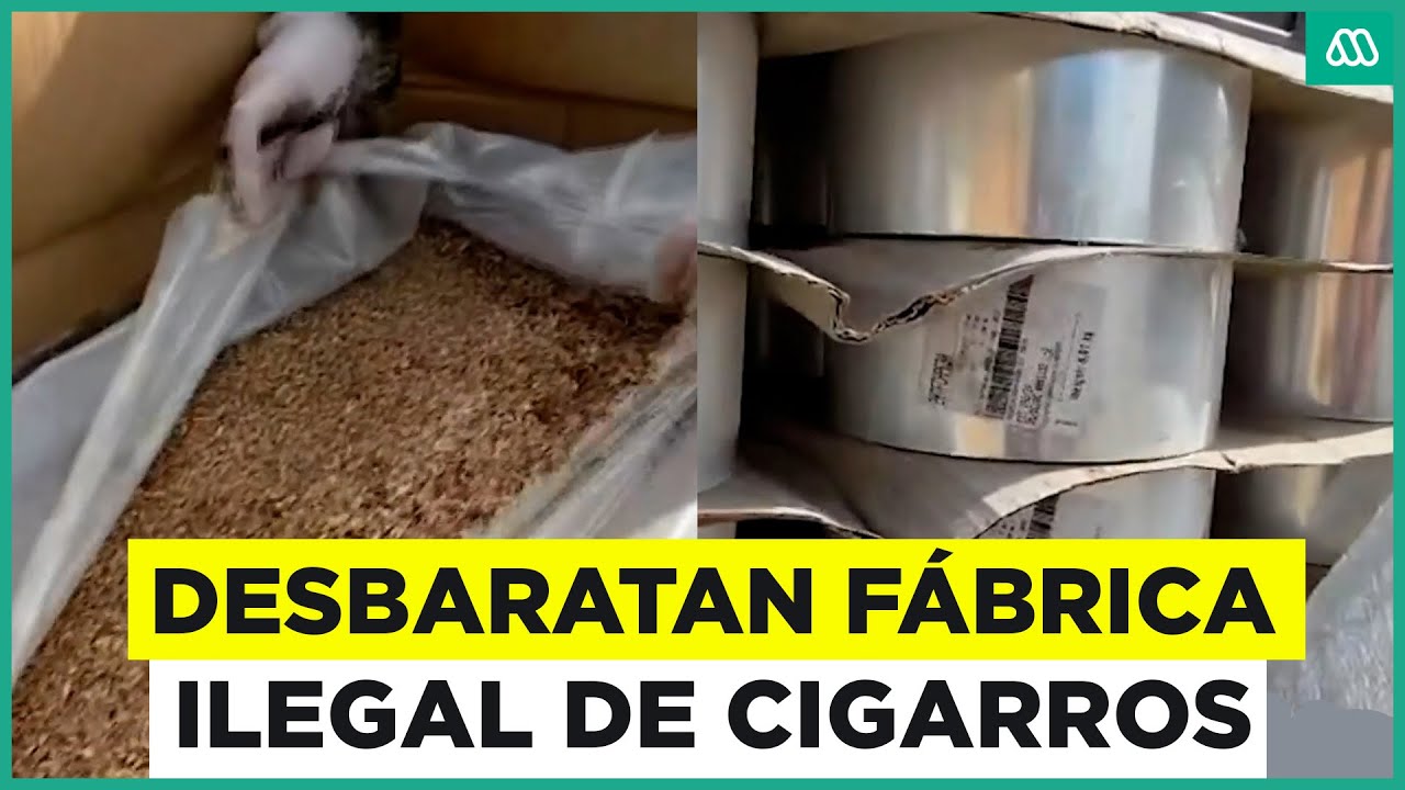 Desbaratan fábrica ilegal de cigarros: Botín estaba avaluado en $30 mil millones