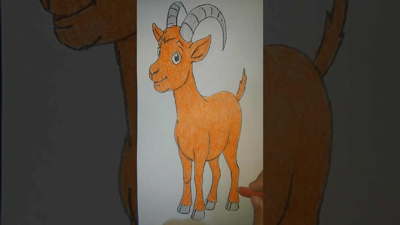 Keçi çizimi nasıl yapılır ? How to draw Goat ?