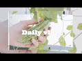 Daily vlog of minimalism freelancer  things that help me relieve stress cooking planting 