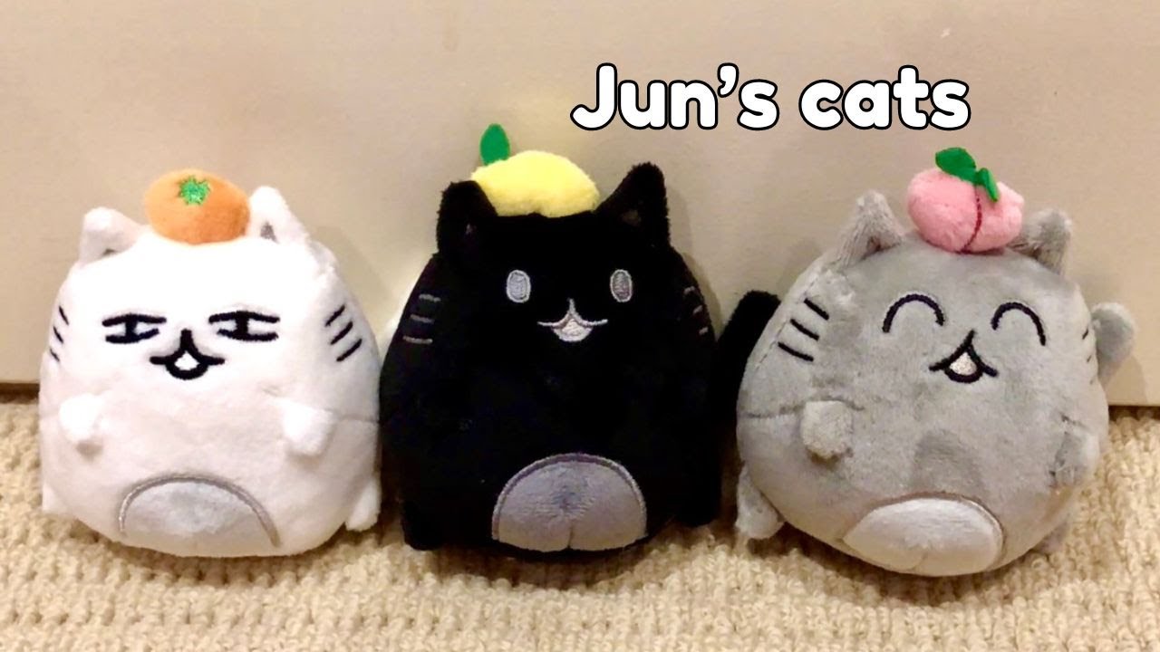 SEVENTEEN アーティストメイド　jun ぬいぐるみ3個セット トレカ SEVENTEEN トレカ付き ARTIST MADE ジュン ぬいぐるみ SEVENTEEN JUN