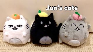 Artist-made collection by Seventeen - Unboxing Jun's cats - YouTube
