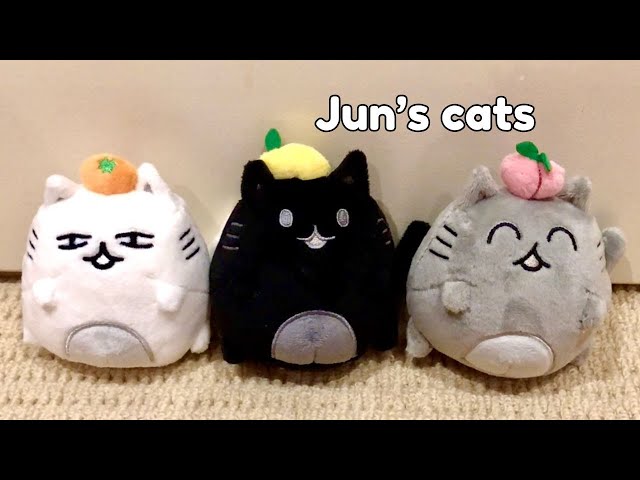 Artist-made collection by Seventeen - Unboxing Jun's cats - YouTube