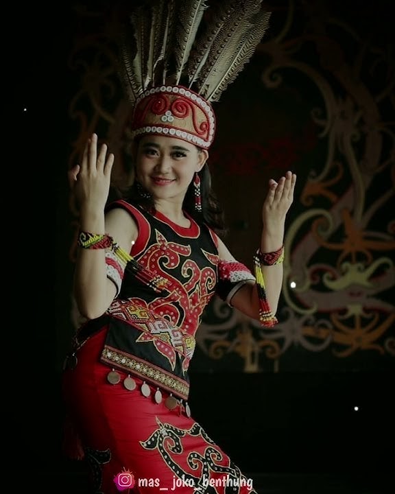 Pesona kecantikan gadis dayak. Alunan sape sangat merdu menyentuh hati.story wa 30 detik gadis dayak