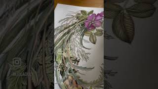 ‘Walk In The Woods’ colouring  @Leiladuly 2024  subscribe for more illustration colouring content
