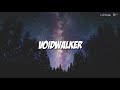 Jake Hill - Voidwalker [Lyric]