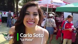 Yolo County Fair 2016