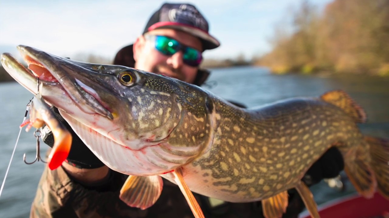 Fox Rage - Hechtfischen im Winter mit Team Angler Markus Kleen