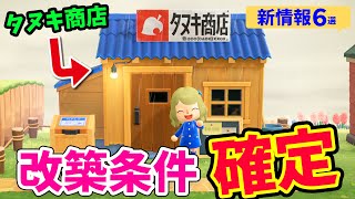 【あつ森】タヌキ商店の改装(改築)方法が公式で確定！風水の存在や特産花まで新情報が盛り沢山！【あつまれどうぶつの森 攻略】