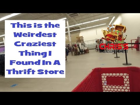 The Weirdest Craziest Thing I Found In A Thrift Store - YouTube