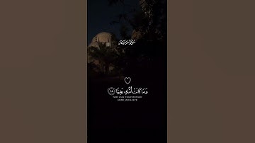 فأتت به قومها تحمله #سورة_مريم بصوت القارئ #شريف_مصطفى