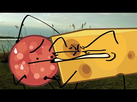 Я ТЕПЕРЬ АНИМАТОР СЗЧТ Я ТЕПЕРЬ АНИМАТОР СЗЧТ