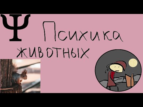 Психика животных и человека