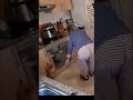 Video de Chihuahua
