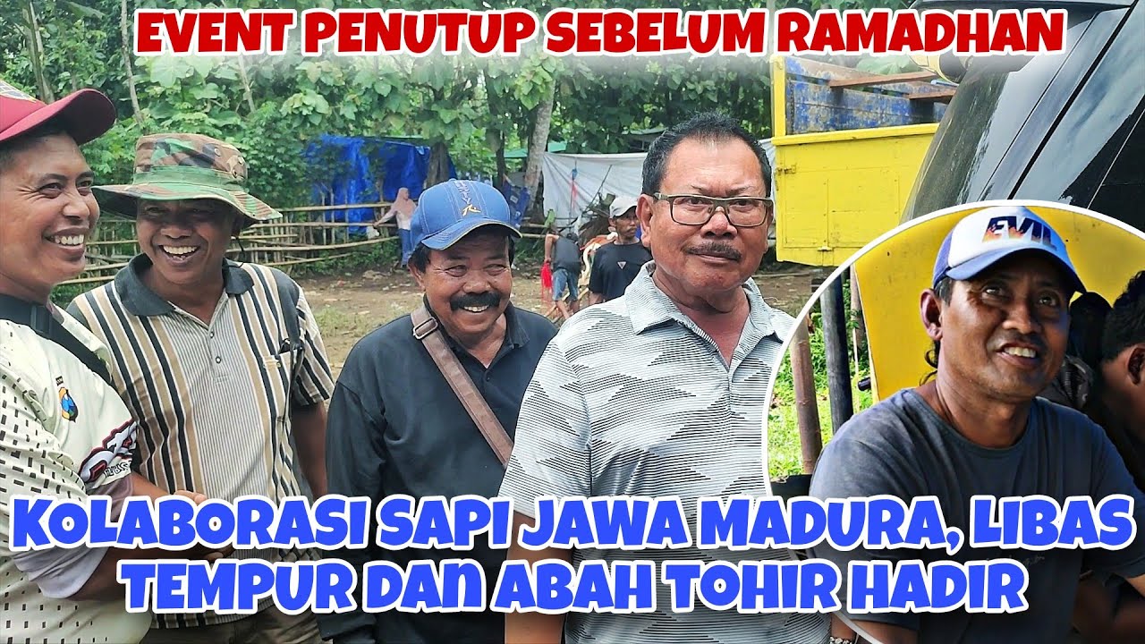 LIBAS TEMPUR KOLABORASI DENGAN TIM JAWA || SUASANA PAGI KERAPAN SAPI SELOK ANYAR LUMAJANG 🔥🔥
