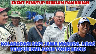 Libas Tempur Kolaborasi Dengan Tim Jawa  Suasana Pagi Kerapan Sapi Selok Anyar Lumajang 