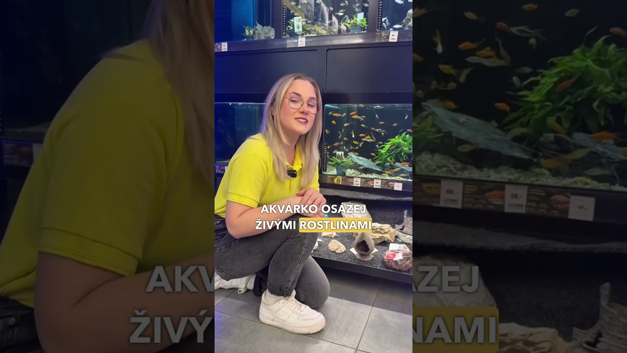 Jak chovat krevetky?