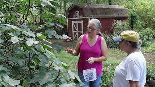 Heathers Feathers By Easier Life Foundation