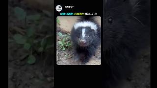 그대로 자란 성질 머리 ㅎㅎ#동물짤 #쇼츠 #스컹크 #웃긴짤