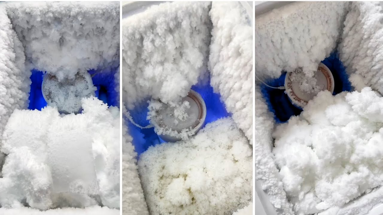 𝐅𝐑𝐄𝐄𝐙𝐄𝐑 𝐅𝐑𝐎𝐒𝐓 𝐄𝐀𝐓𝐈𝐍𝐆 / 𝐅𝐑𝐄𝐄𝐙𝐄𝐑 𝐅𝐑𝐎𝐒𝐓 𝐈𝐂𝐄 𝐄𝐀𝐓𝐈𝐍𝐆 𝐀𝐒𝐌𝐑 / 𝐀𝐒𝐌𝐑 𝐅𝐑𝐄𝐄𝐙𝐄𝐑 𝐅𝐑𝐎𝐒𝐓 / 𝐇𝐀𝐑𝐃 𝐂𝐑𝐔𝐍𝐂𝐇𝐘 𝐅𝐑𝐎𝐒𝐓