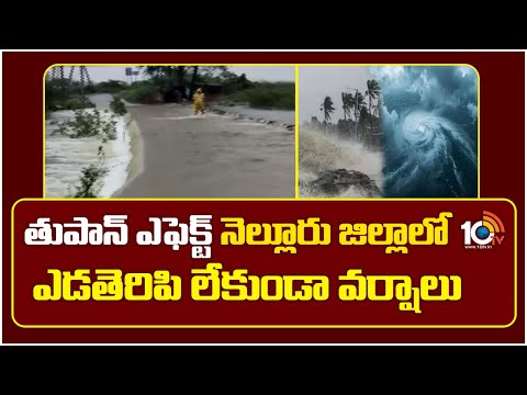 Montha Cyclone Effect On Nellore | తుపాన్ ఎఫెక్ట్ నెల్లూరు జిల్లాలో ఎడతెరిపి లేకుండా వర్షాలు | 10TV - 10TVNEWSTELUGU