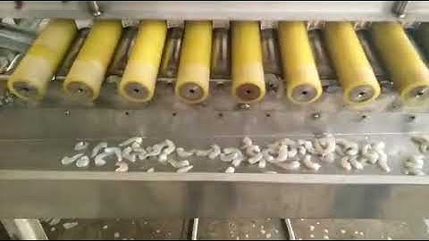 shrimp peeling machine, shrimp shell removing machine, shrimp peeler