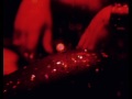 Miniature de la vidéo de la chanson Red Camera
