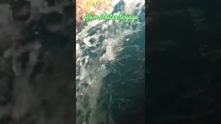 Download Lagu #alamsemulajadi #mainkansajajangankebanyakangaya #sabah #fyp #janganlupasubscribe #terimakasih MP3