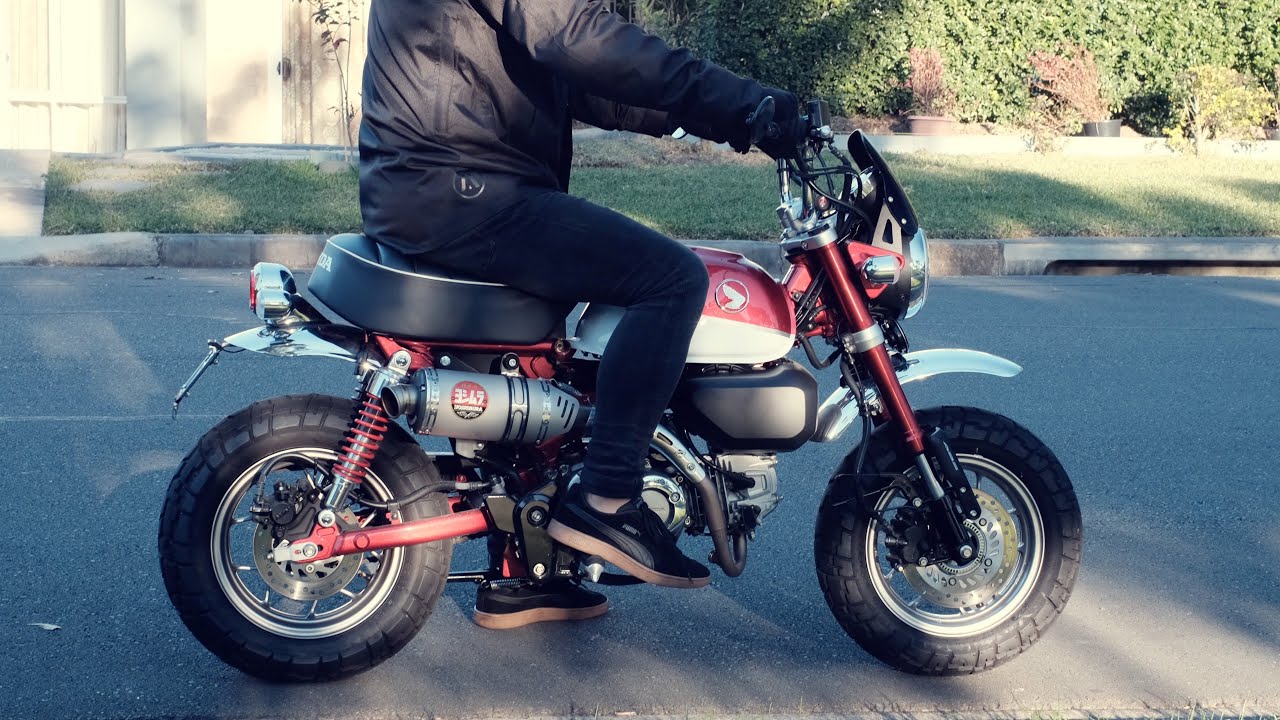 Honda Monkey Z125 Autumn Ride Sydney Yoshimura Exhaust Tone YouTube