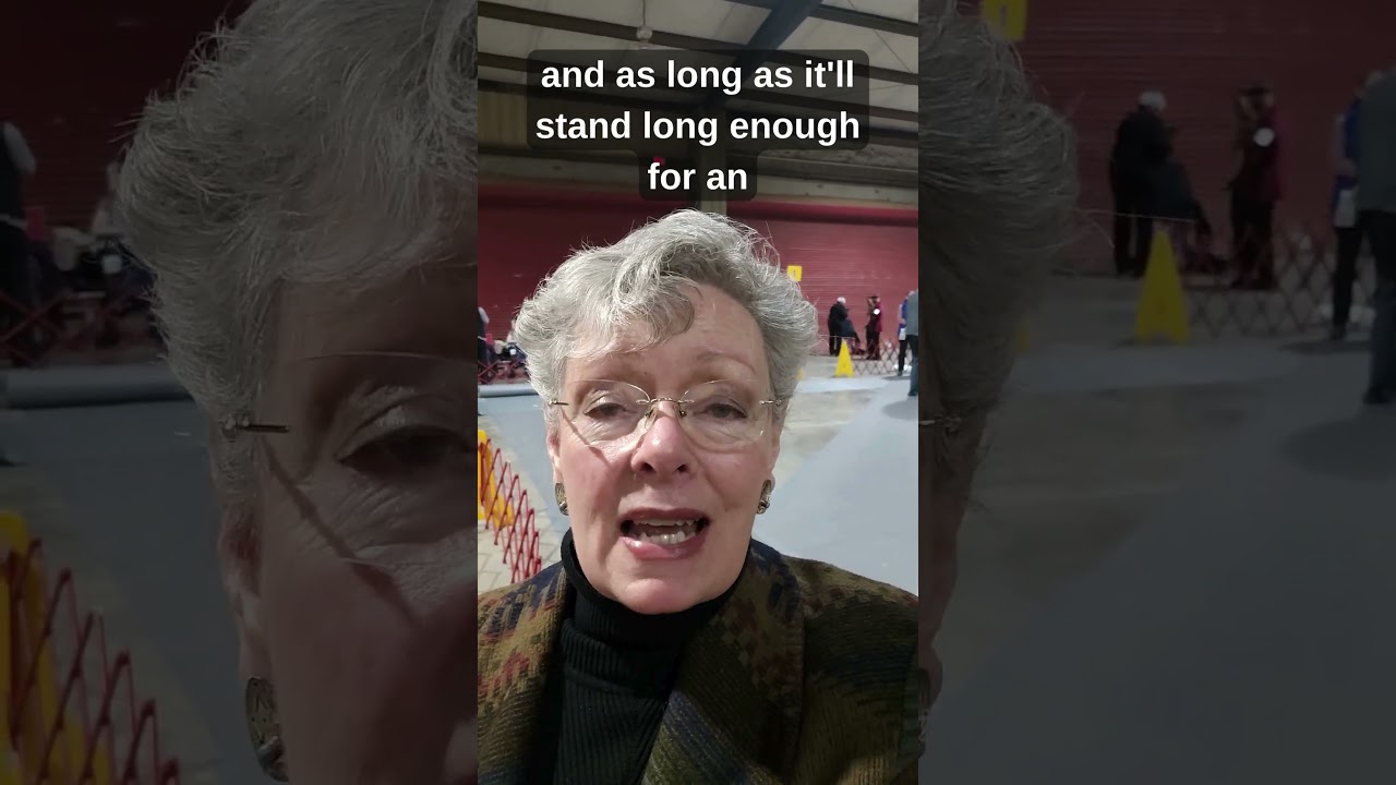 Naughty Puppy in the Show Ring? Good for you! - AKC conformation judge Sandy Weaver