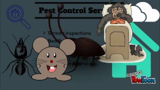 MY ROCKLIN PEST CONTROL SERVICES