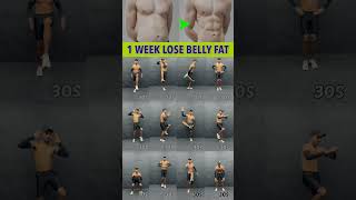 Belly Fat Workout 