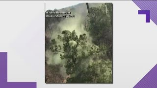 Pollen flies everywhere in Georgia DNR video