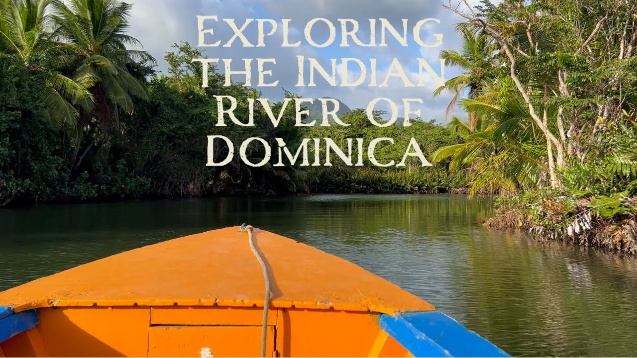 Sailing Around the World Exploring the Indian River of Dominica