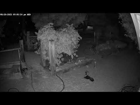 It's a Skunk party