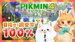 【ピクミン４】一旦探索回！！見るとこ多すぎぃ！！！🐾