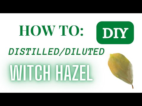 How to make Distilled (Diluted) Witch Hazel