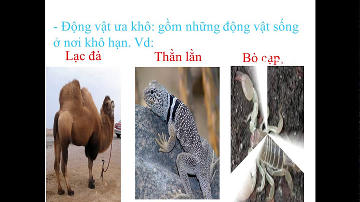 Hướng dẫn là bài 45 46 sinh 9 bài 45-46