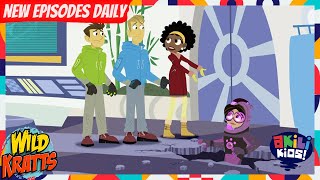 Wild Kratts | It's Hibernation Season! | Akili Kids!
