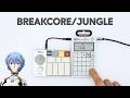 Jungle with a TINY Setup