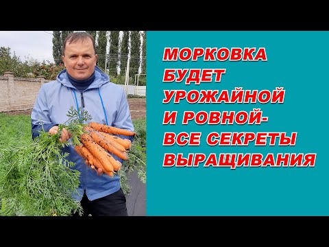 Выращивание урожайной морковки от А до Я - самые полезные советы.