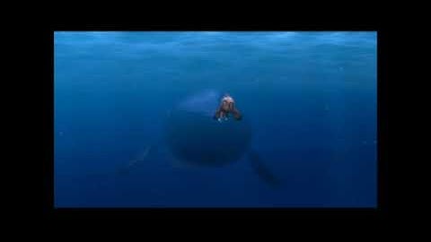 Finding Nemo 2001 Animation Test