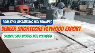 Proses pembuatan plywood export | Proses veneer shortcore plywood export