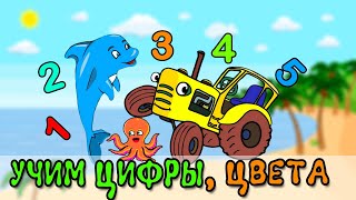 Морские животные для детей. УЧИМ ЦИФРЫ. Учим цвета. Развивающие мультики. Дельфиненок / ТРАКТОР