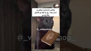 ویدیو خنده دار ایرانی » وقتی شب یلدا با فامیلاتی ?✨