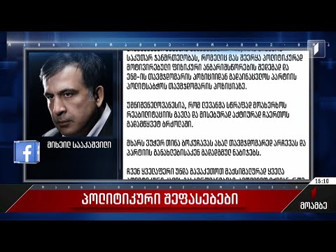 ხაბეიშვილის გადაწყვეტილება - პოლიტიკური შეფასებები