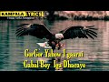 Farxiyo fiska gorgor yahoow i gaarsi official lyric